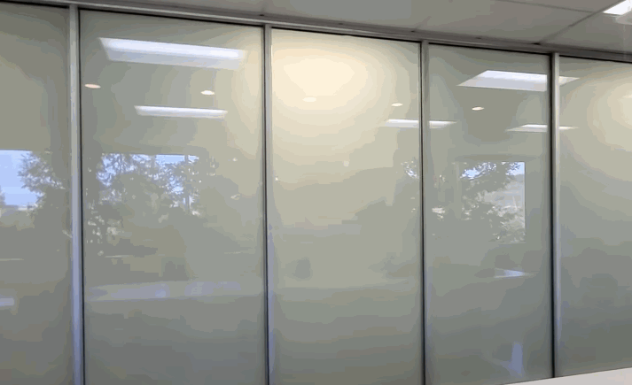 Office glass walls covered with frosted commercial window tinting for privacy.